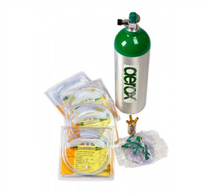 AEROX PORTABLE OXYGEN COMPLETE SETUP - 1 USER - C CYLINDER